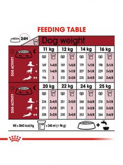 SHN MEDIUM ADULT_web5